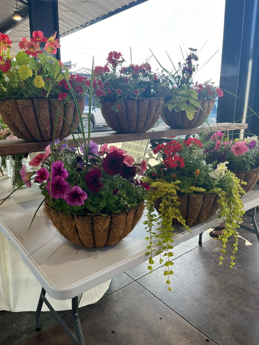 Annual hanging baskets